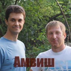 Амвиш