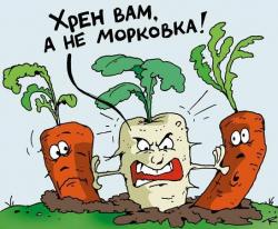 Прикольные песни